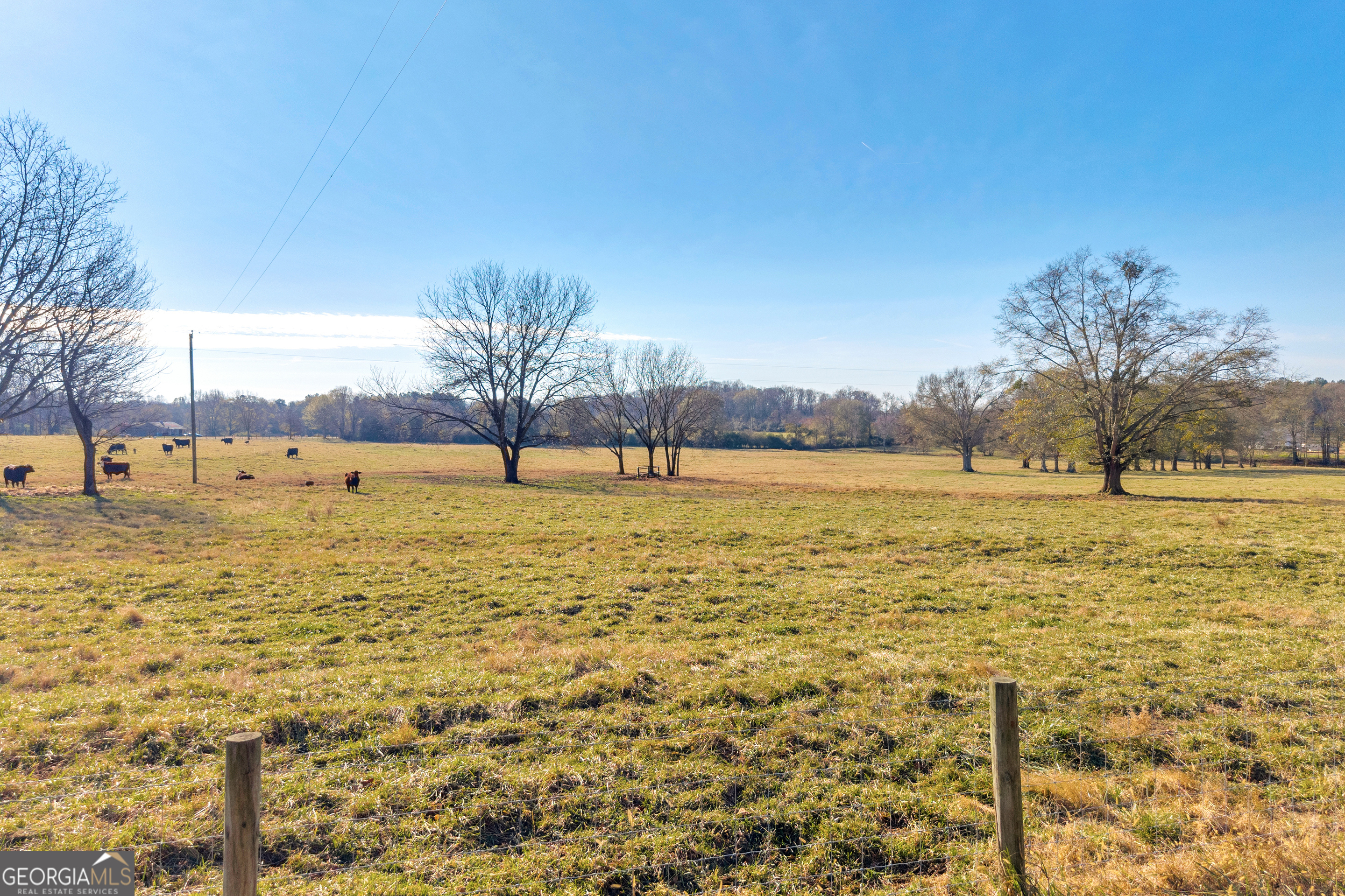 1191 Plain View Road Carnesville, GA 30521 - Photo 40 of 62