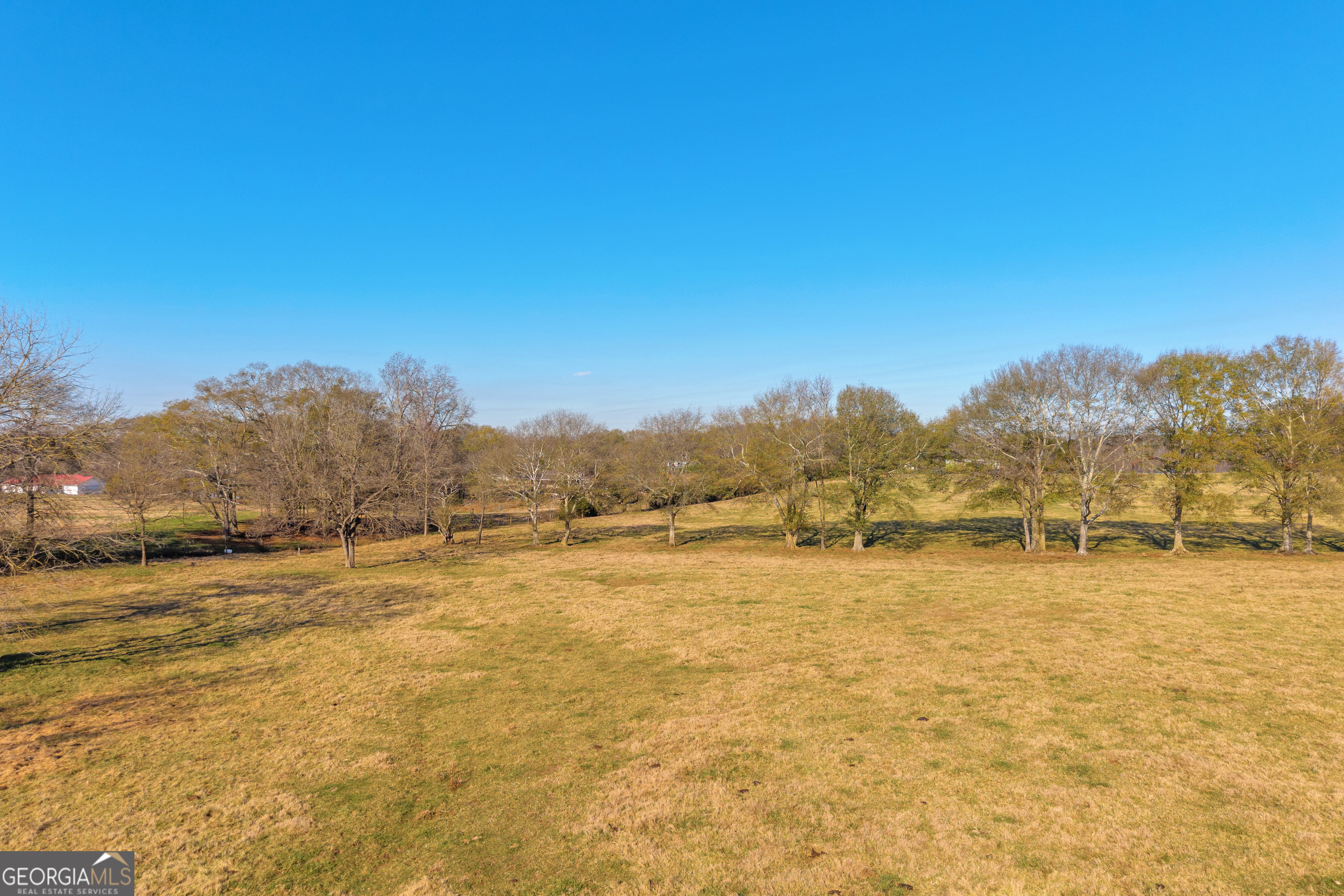 1191 Plain View Road Carnesville, GA 30521 - Photo 4 of 62