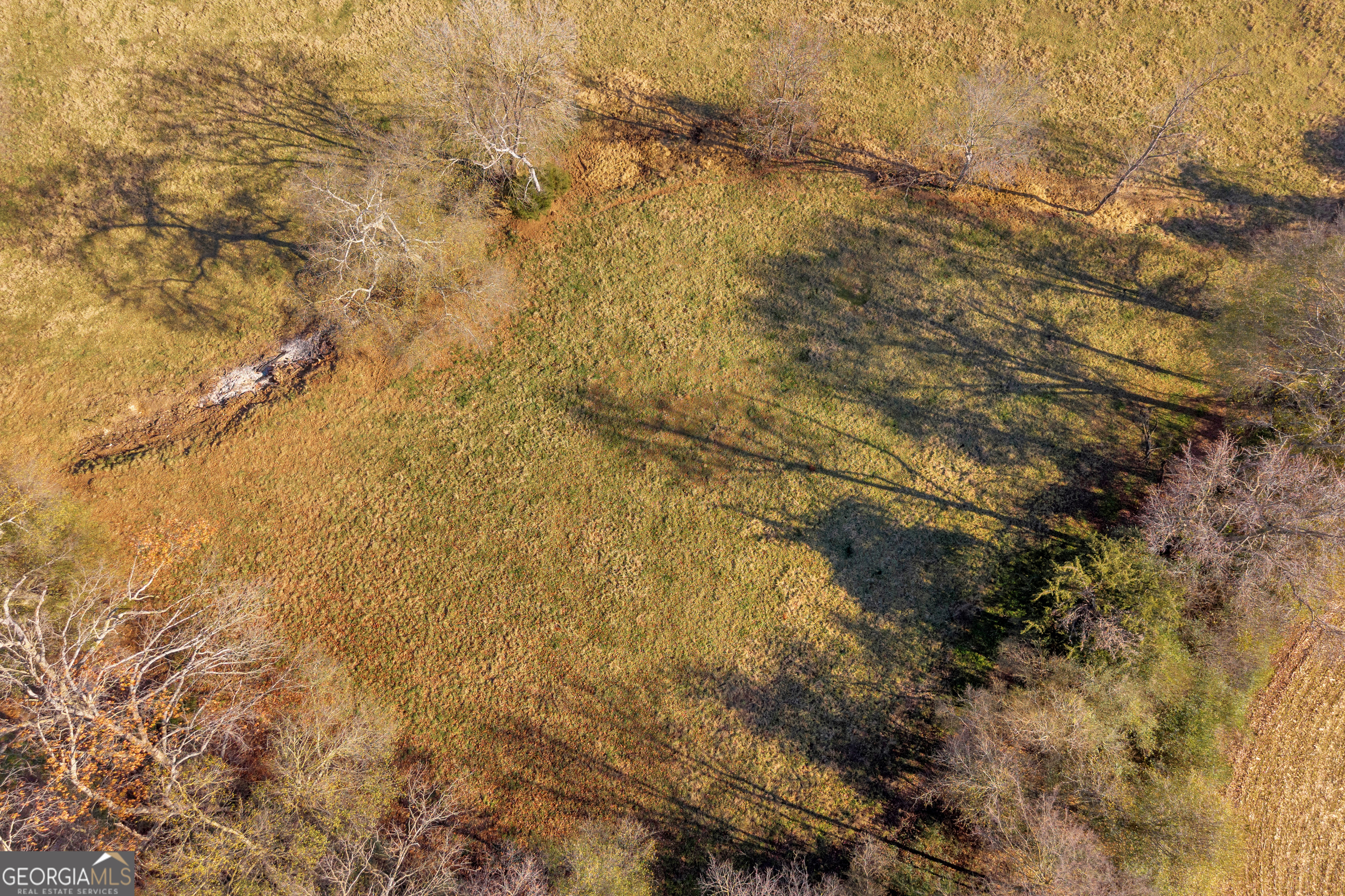 1191 Plain View Road Carnesville, GA 30521 - Photo 5 of 62 a view of a yard