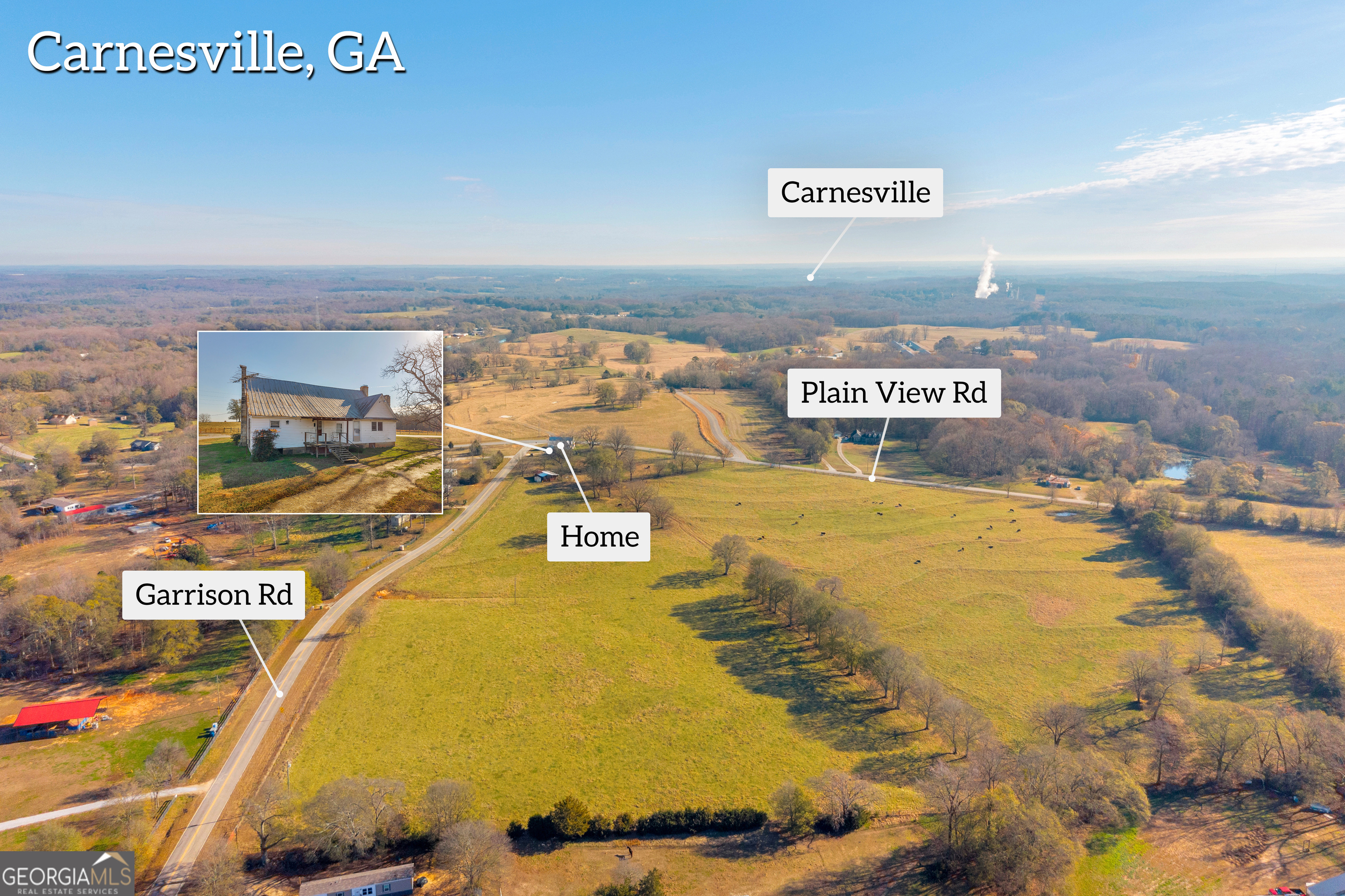 1191 Plain View Road Carnesville, GA 30521 - Photo 59 of 62 a view of swimming pool