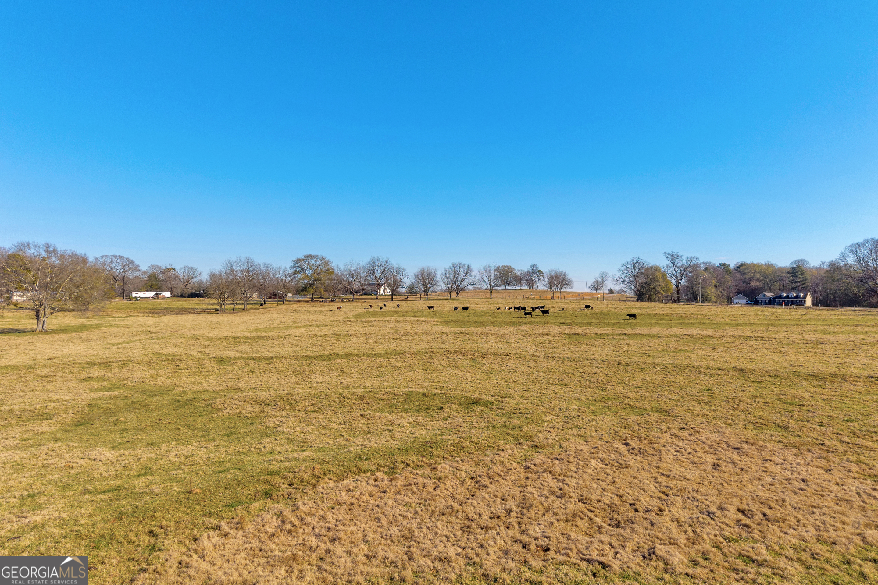 1191 Plain View Road Carnesville, GA 30521 - Photo 7 of 62 a view of an ocean