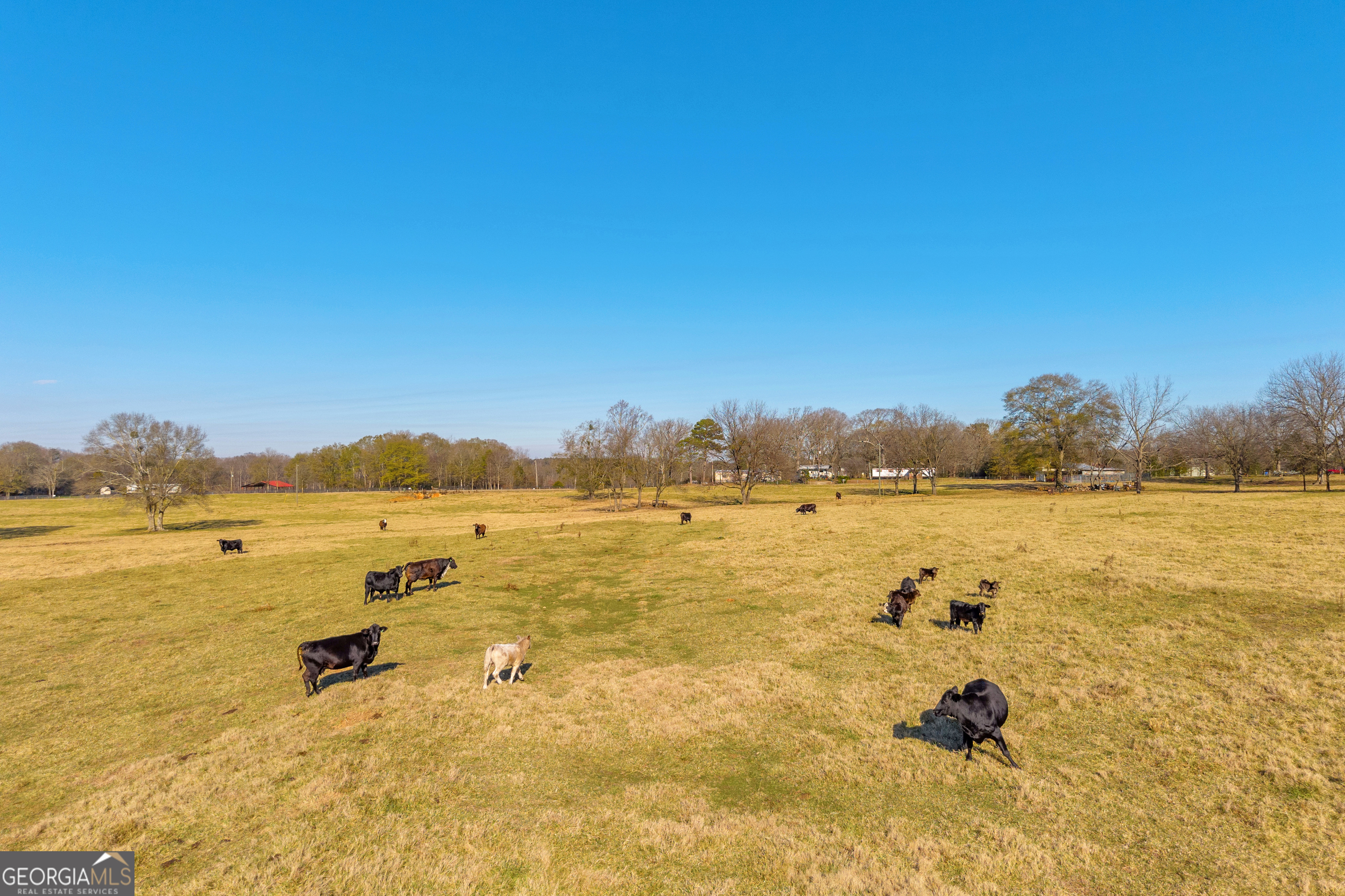 1191 Plain View Road Carnesville, GA 30521 - Photo 10 of 62 a view of an ocean