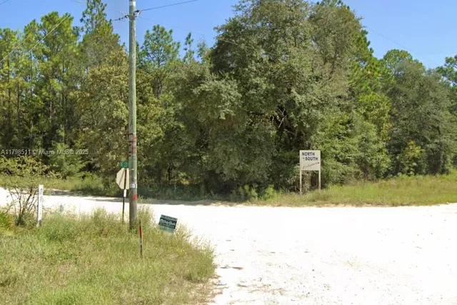 a view of swimming pool from a yard