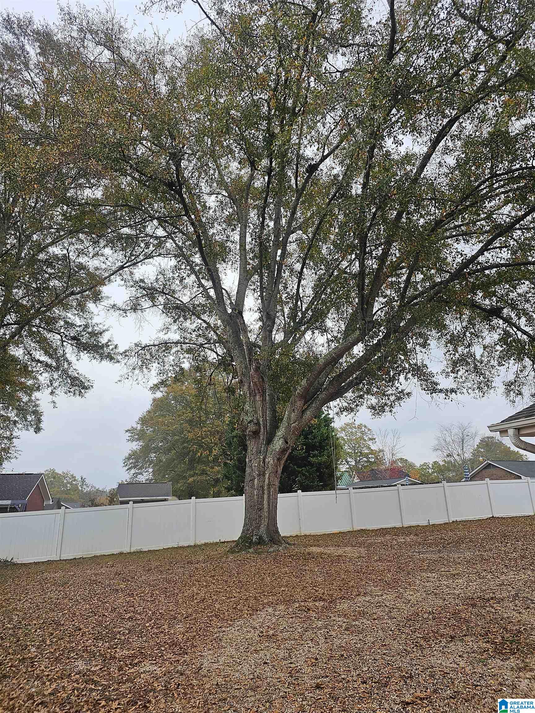 310 Thrash Road Clanton, AL 35045 - Photo 16 of 19