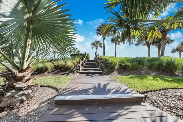 a view of a backyard with plants