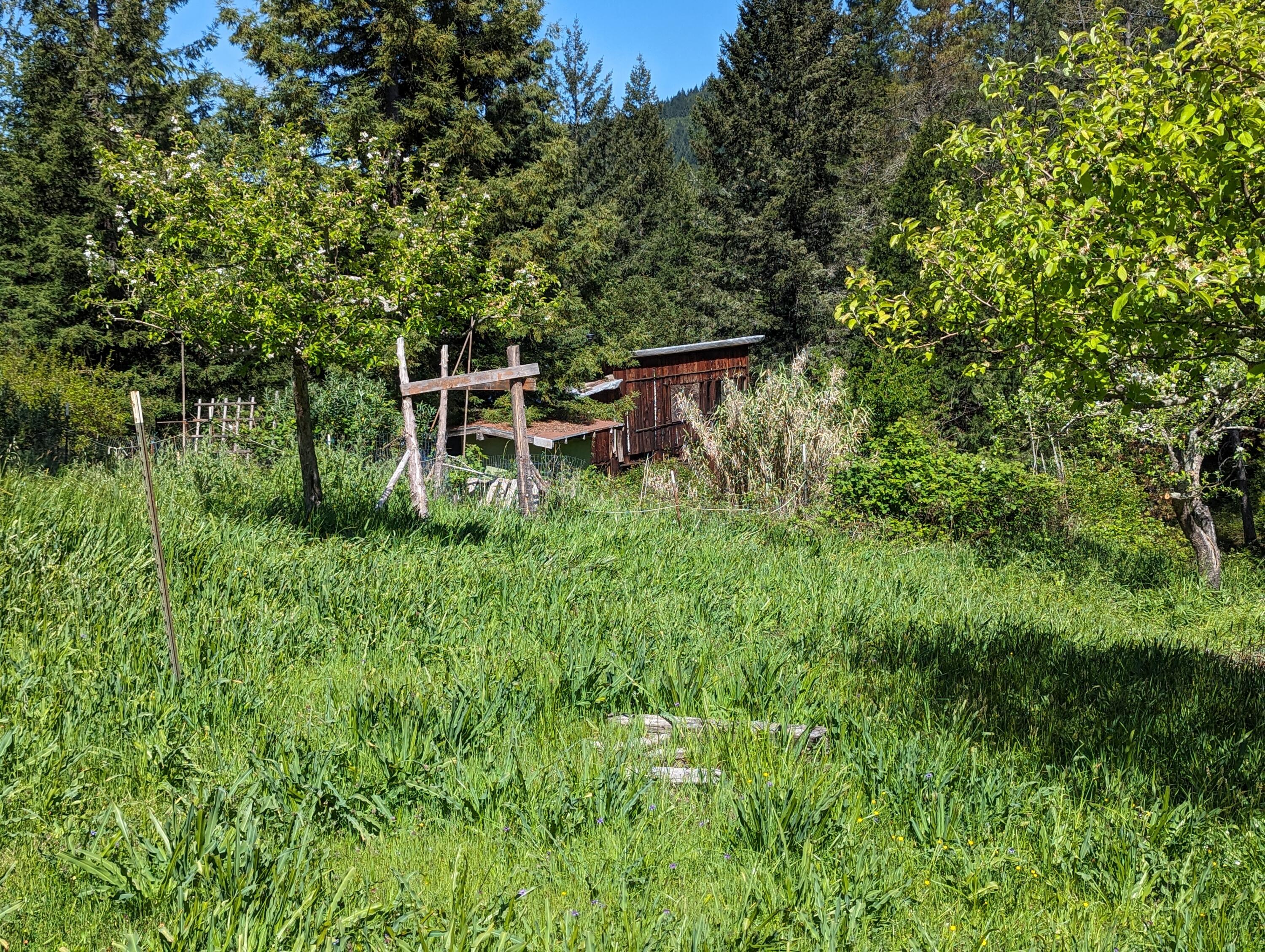 3951 Upper Thomas Early Ranch Road Miranda, CA 95553 - Photo 35 of 57