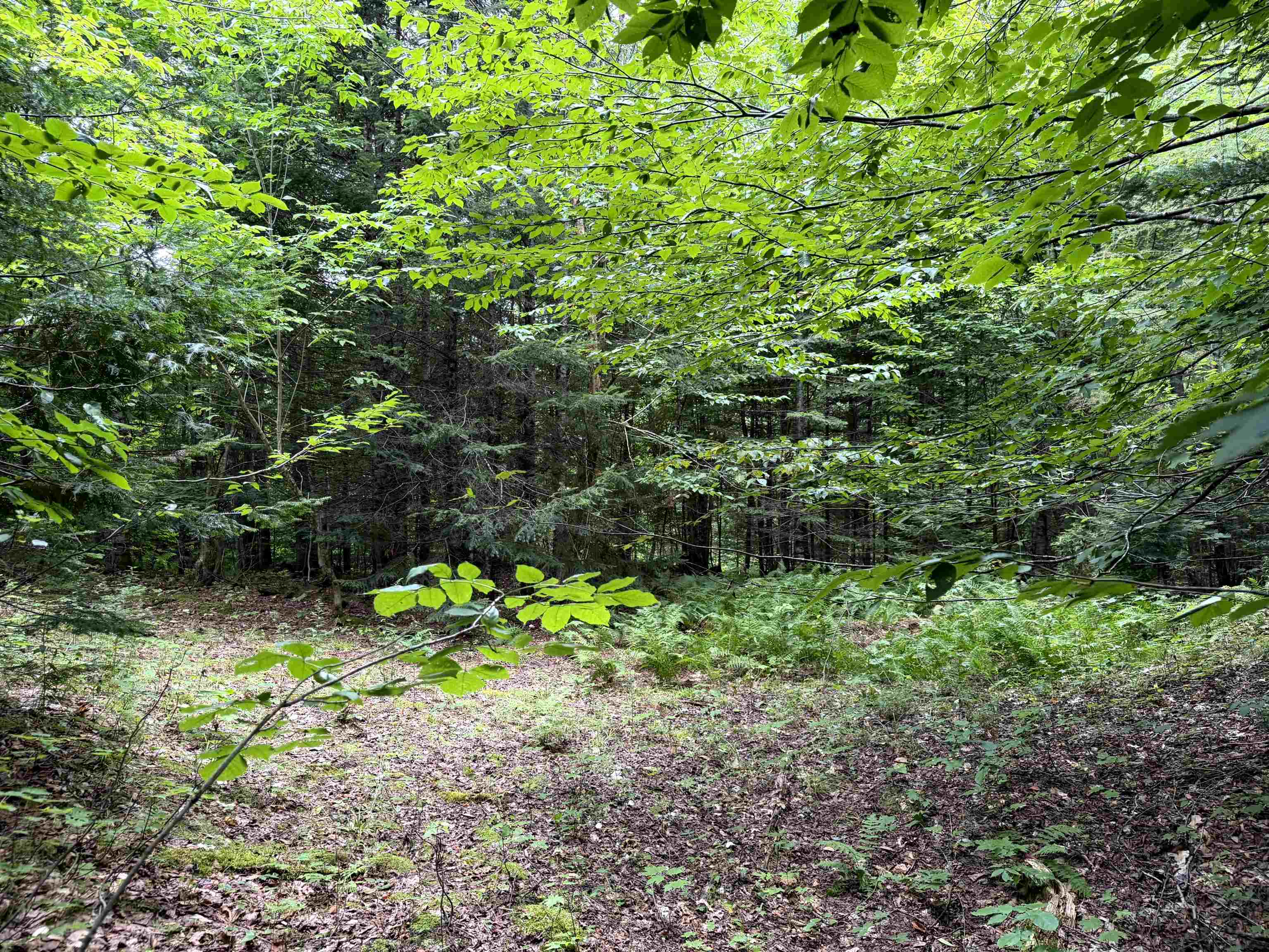 4716 Highway 5 Sutton, VT 05867 - Photo 19 of 21 Gallery Image 19
