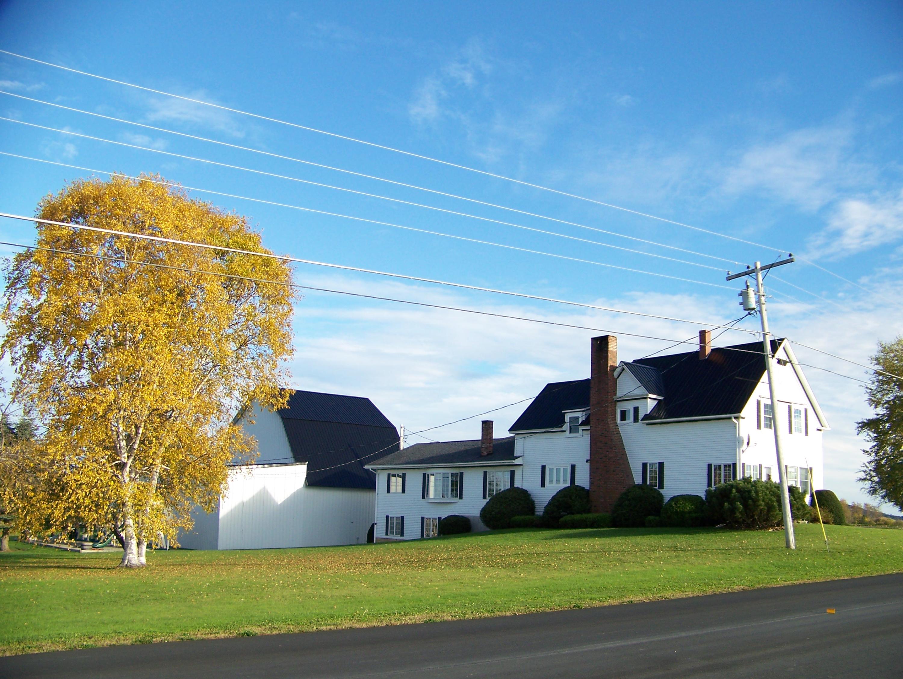 439 Hughes Road Mapleton, ME 04757 - Photo 4 of 35 2012-10-02 (K) Fall Foliage around Our H