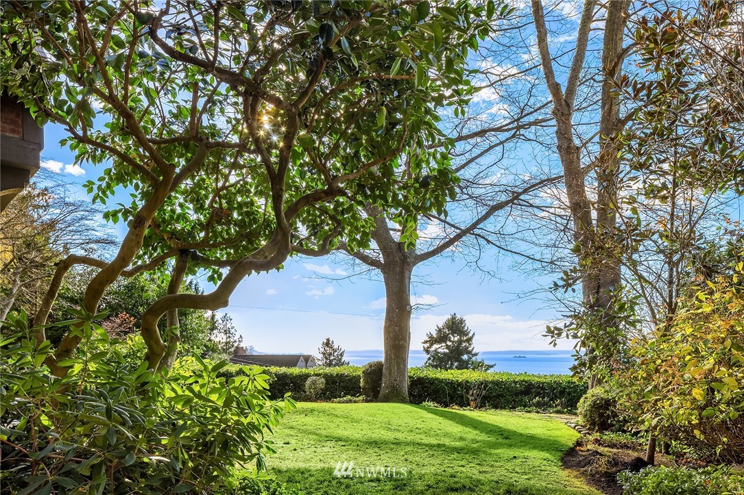4706 West Ruffner Street Seattle, WA 98199 - Photo 5 of 27 a view of a garden with a tree
