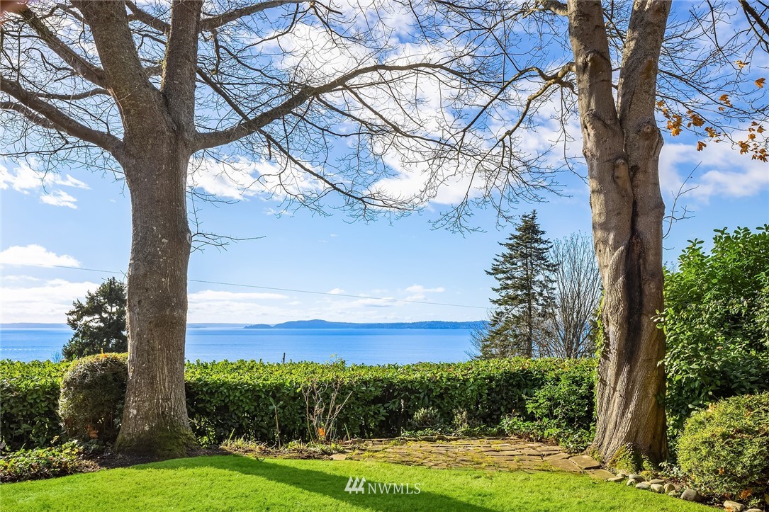 4706 West Ruffner Street Seattle, WA 98199 - Photo 6 of 27 a view of a trees and yard with a tree in the background