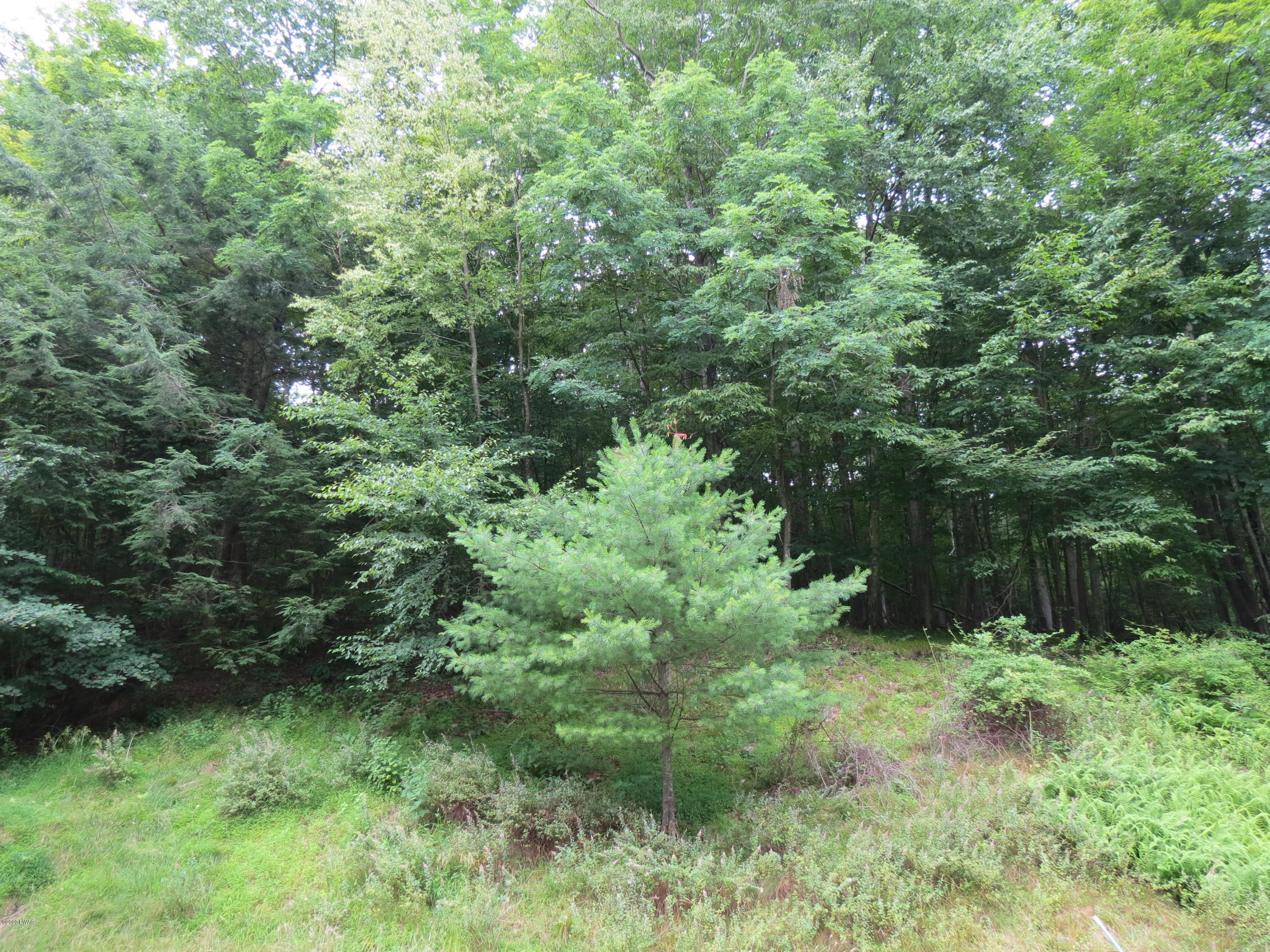 46 Burma Road Damascus, PA 18415 - Photo 15 of 18