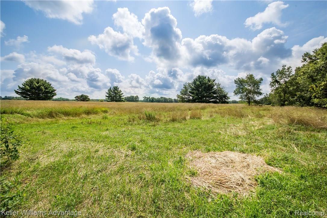 4545 Lone Tree Road Milford, MI 48380 - Photo 59 of 79 Lone Tree Rd_4545_Pasture_02.jpg