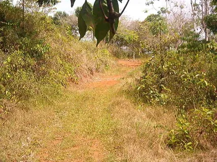 a view of a lake view with a garden