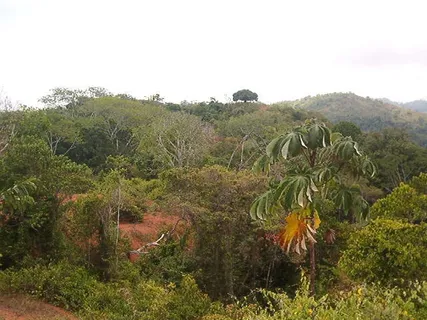 a close up of a sink