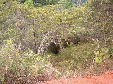 $4,500,000 | 0 1st Mountain