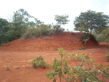 $4,500,000 | 0 1st Mountain