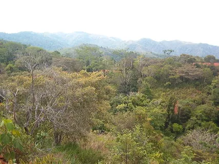 a view of empty yard