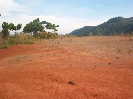 a view of a yard with a mountain
