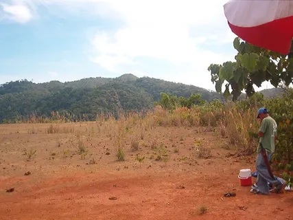 a view of a mountain in the distance in a field