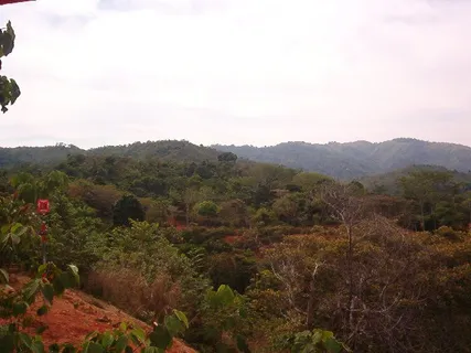 a view of a dry yard with mountains in the background