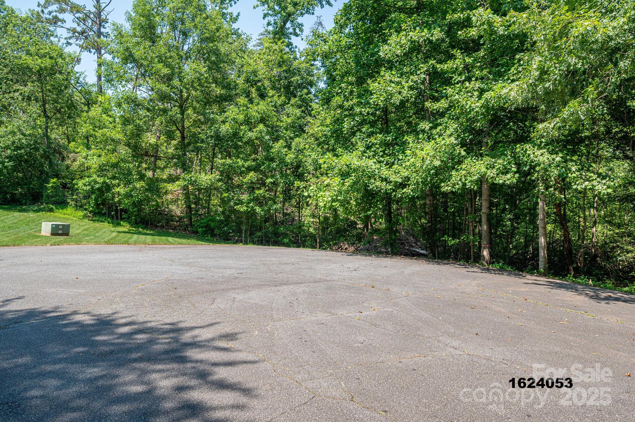 Lot 0 Annapolis Court Rutherfordton, NC 28139 - Photo 11 of 27