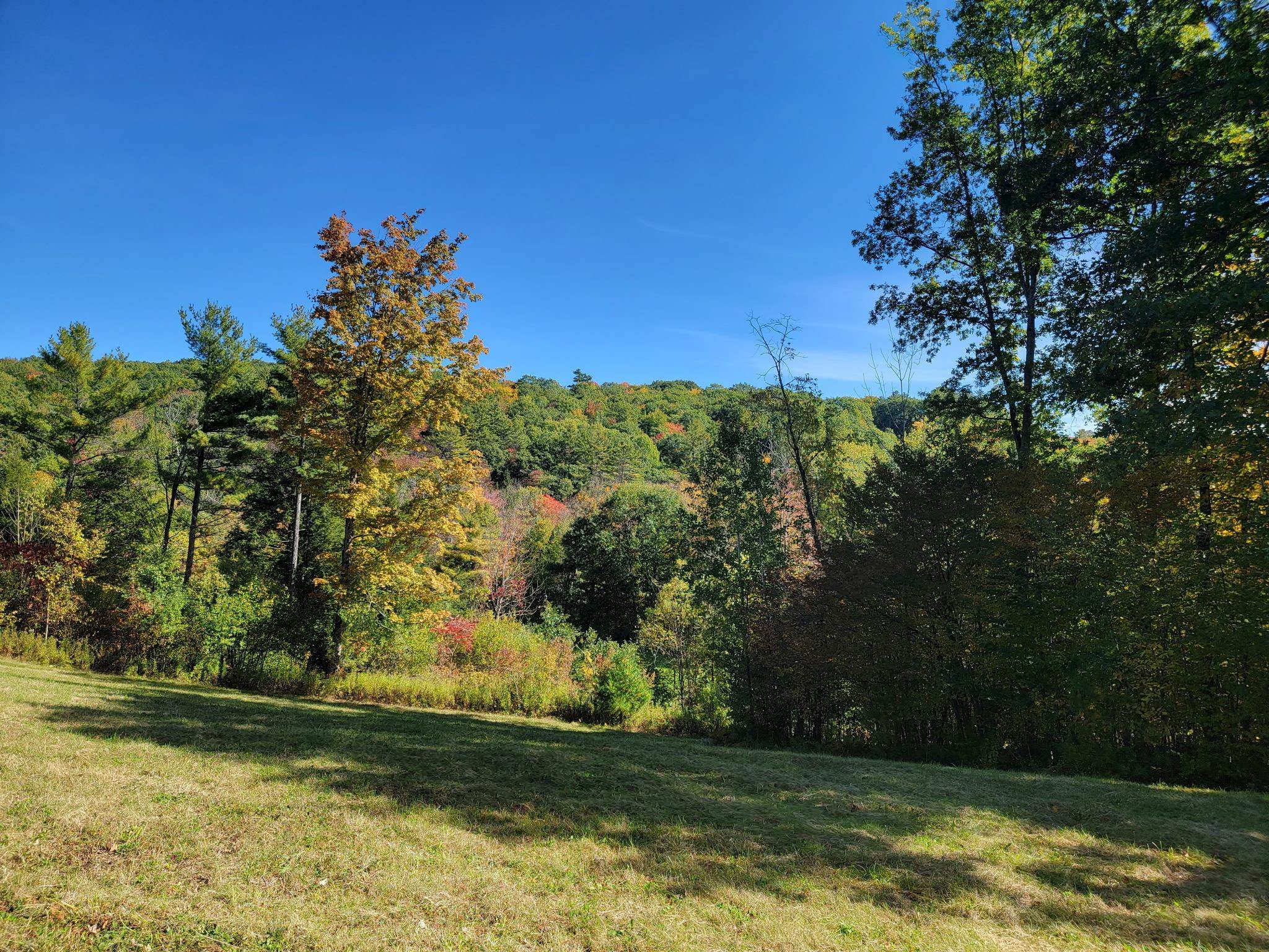 4 Cutler Road Plainfield, NH 03781 - Photo 2 of 39