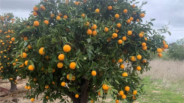 $4,500 | 35800 Calle Nopal, Temecula, CA 92592