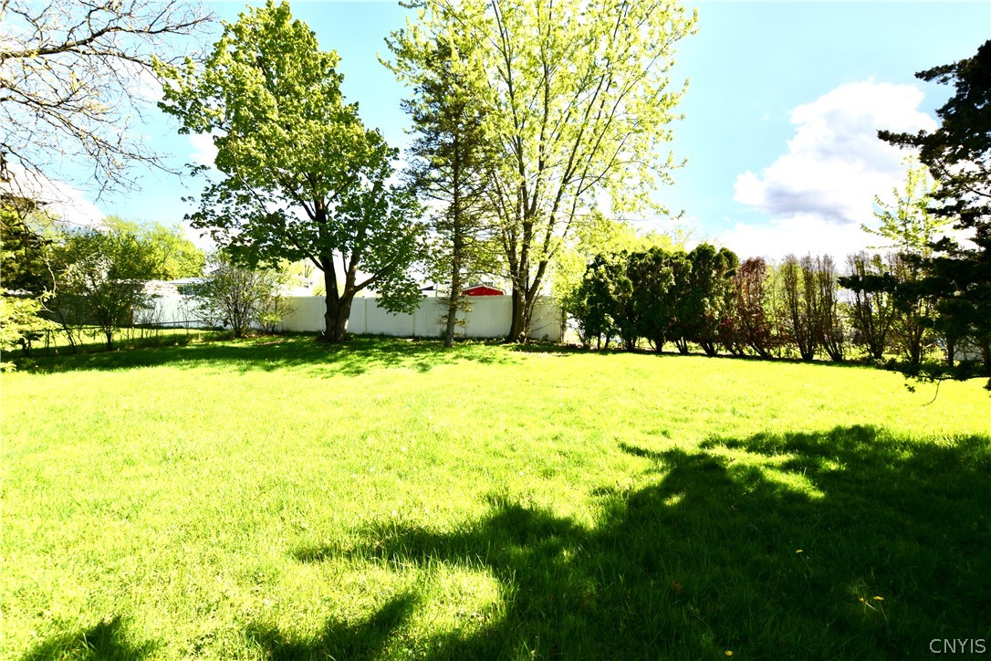 246 Blackberry Road Liverpool, NY 13090 - Photo 25 of 25 backyard
