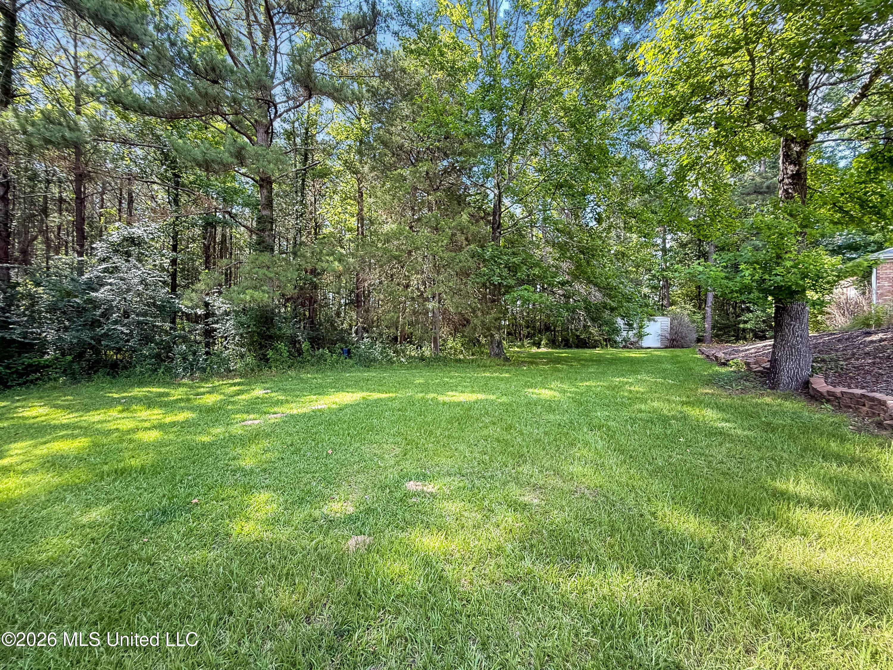 310 Henry Cannon Road Braxton, MS 39044 - Photo 41 of 43 096e7999f4e286279dfae7ddd9af5aebcbdea25e