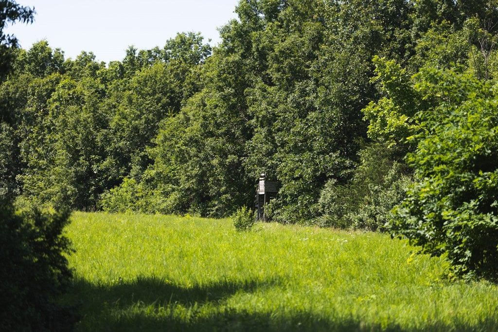 1117 Monroe Road Madison, MO 65263 - Photo 15 of 17 Gallery Image 15