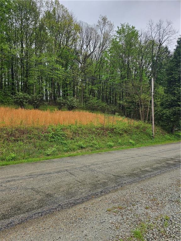 691 Old State Rte 66 Greensburg, PA 15601 - Photo 7 of 21 Across the road where there are blueberry bushes