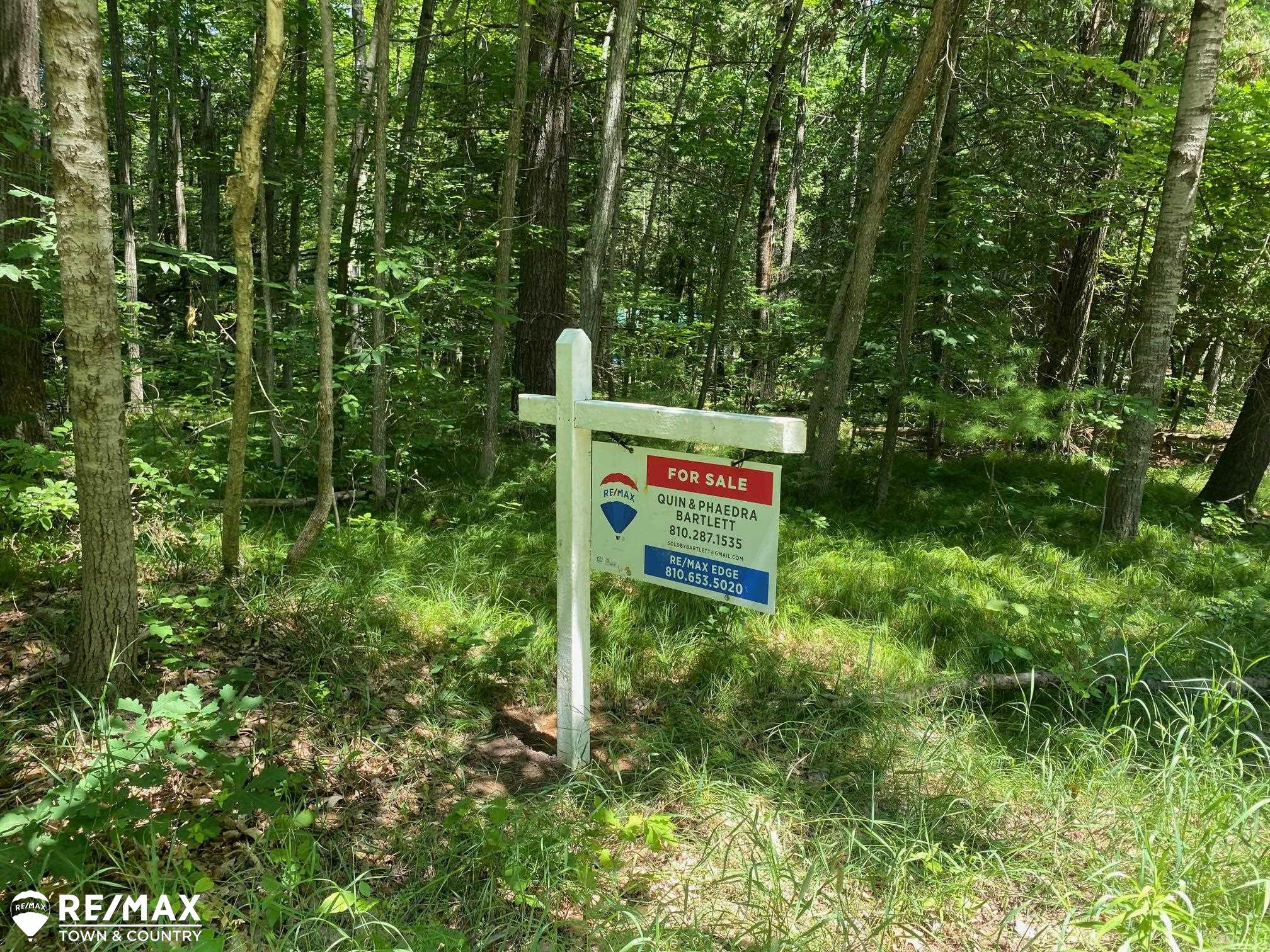 0 Browns Road Lake, MI 48632 - Photo 1 of 11