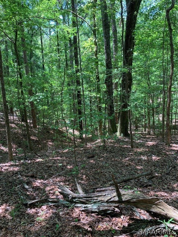 3296 Spring Hill Road Ramer, AL 36069 - Photo 29 of 38 Gallery Image 29