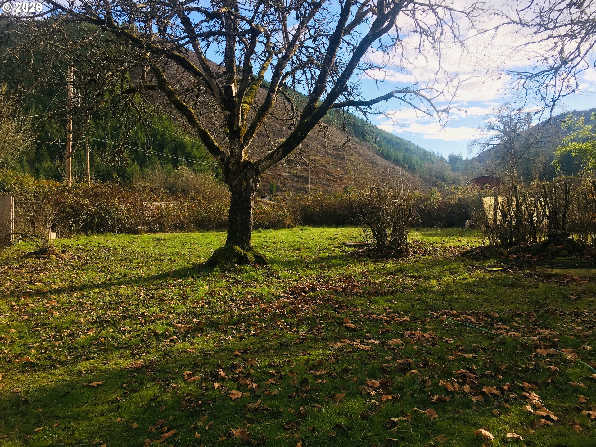 119 Bonanza Mine Road Sutherlin, OR 97479 - Photo 3 of 3