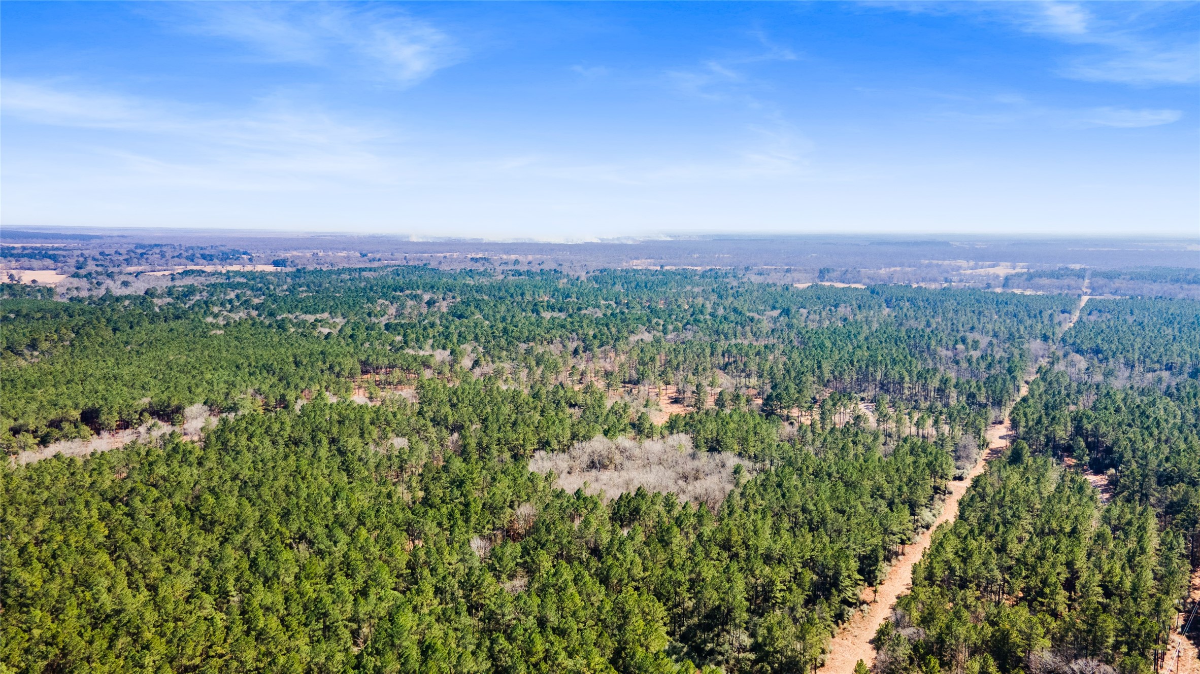 Tbd Tbd Bo Brown Trinity, TX 75862 - Photo 2 of 9