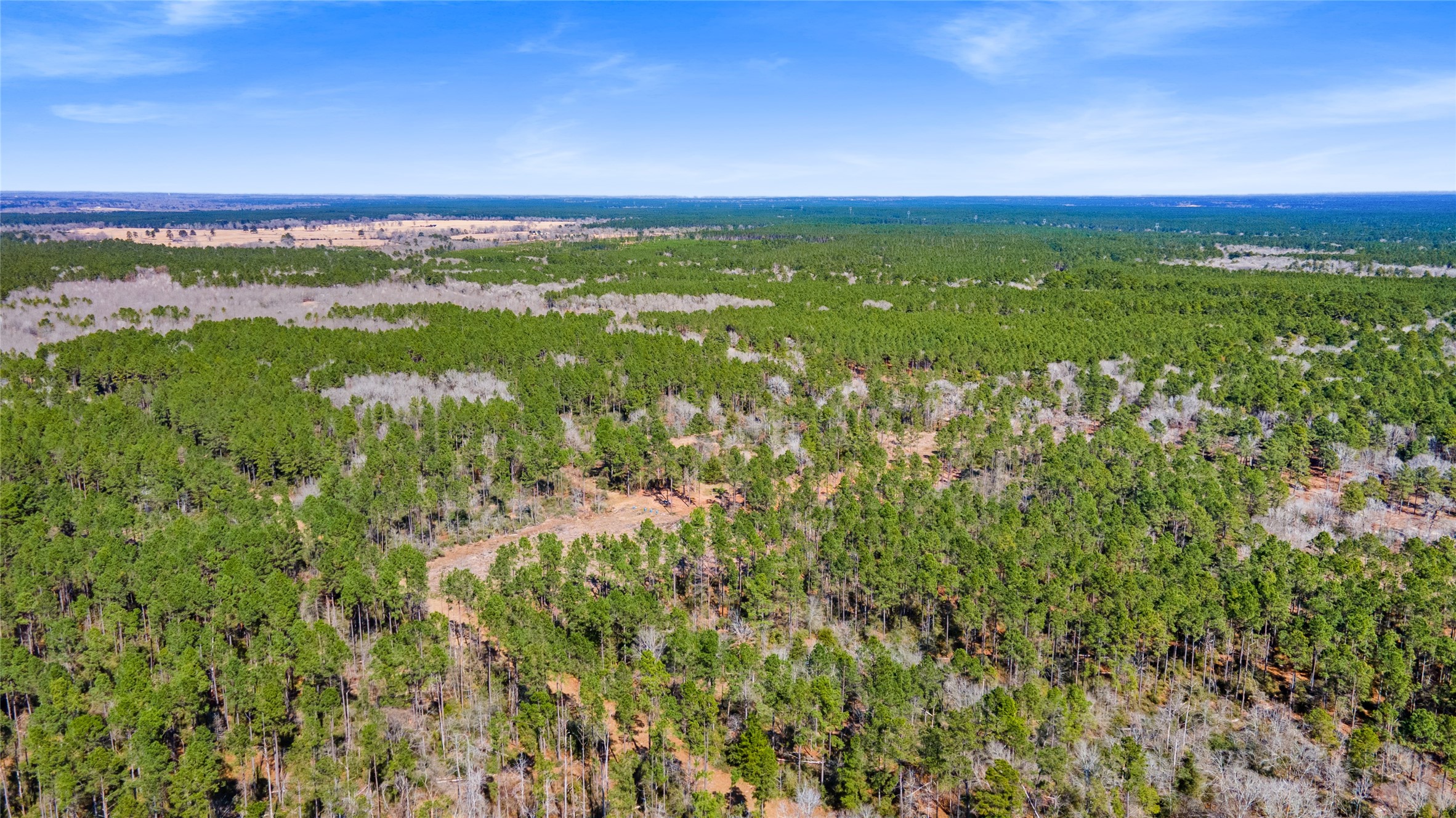 Tbd Tbd Bo Brown Trinity, TX 75862 - Photo 3 of 9