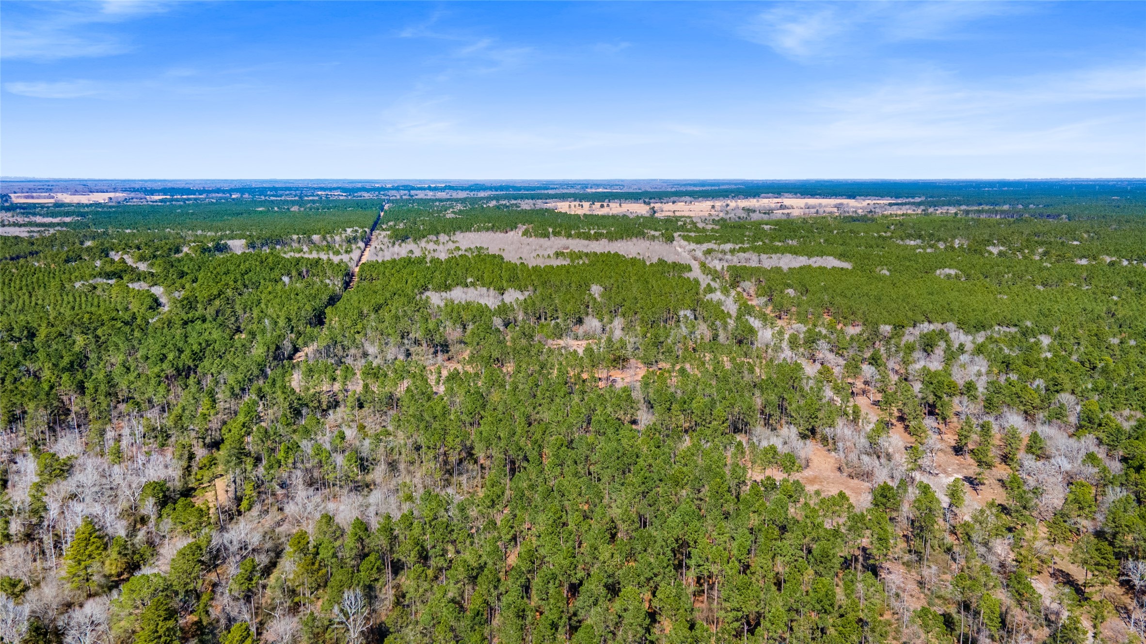 Tbd Tbd Bo Brown Trinity, TX 75862 - Photo 4 of 9