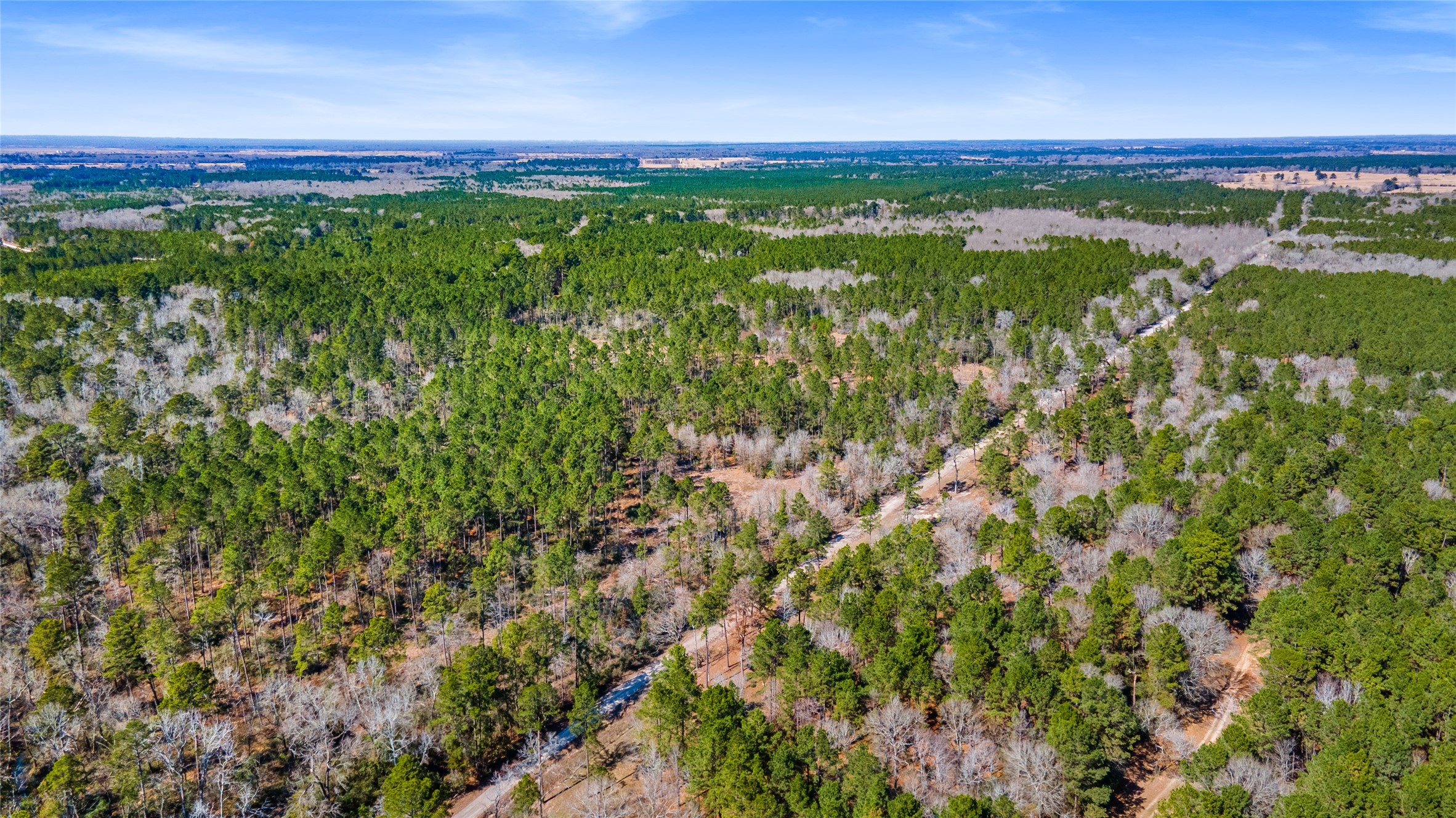 Tbd Tbd Bo Brown Trinity, TX 75862 - Photo 5 of 9