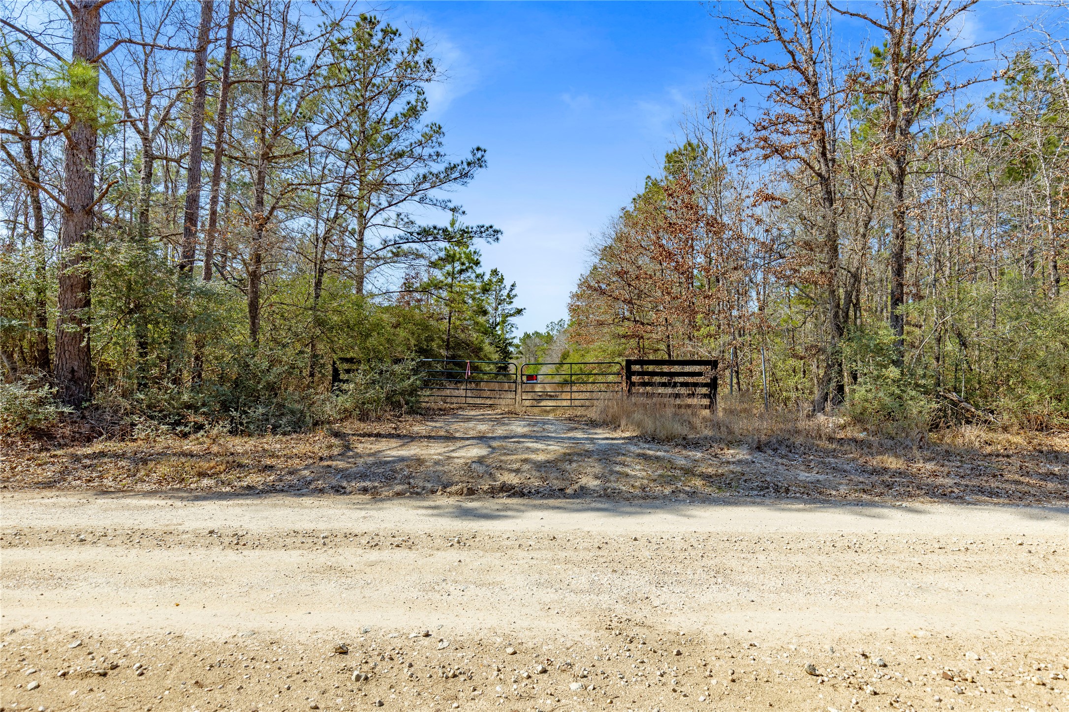 Tbd Tbd Bo Brown Trinity, TX 75862 - Photo 8 of 9