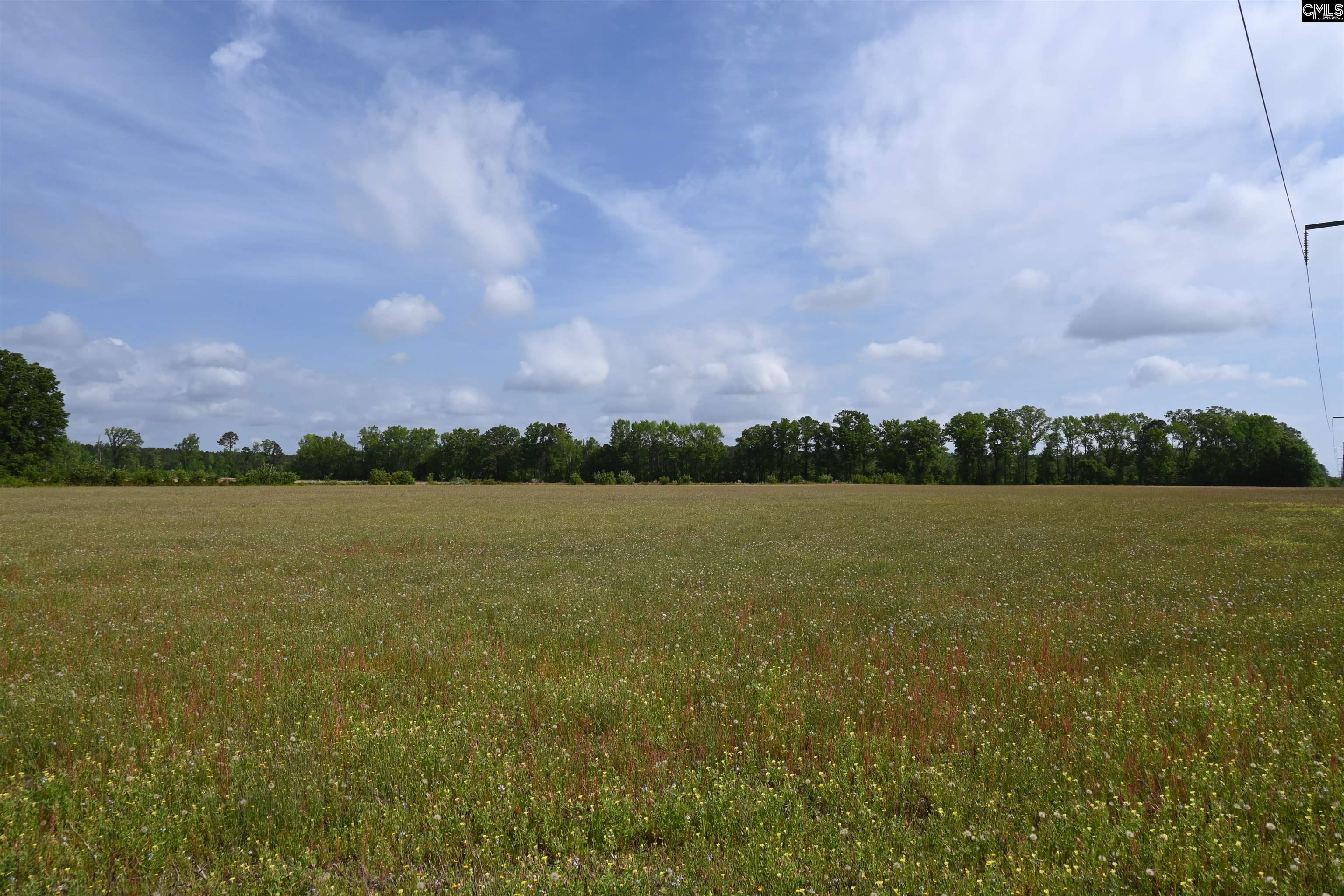 Tbd Gallowaytown Road Hartsville, SC 29550 - Photo 17 of 34
