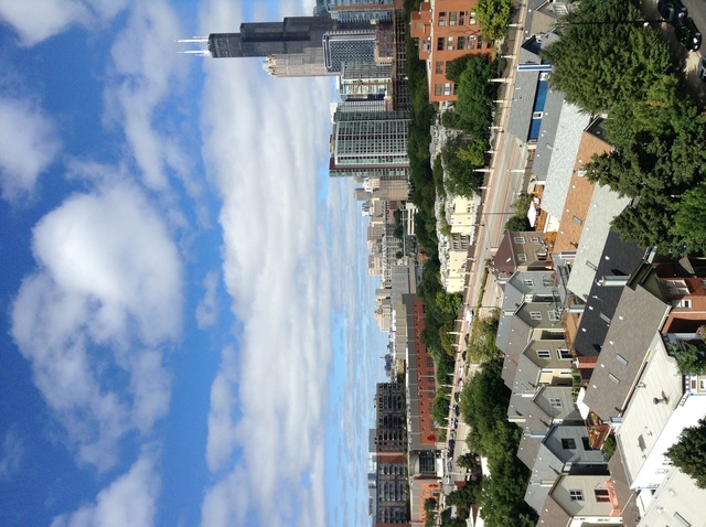 1255 South State Street, Unit 1004 Chicago, IL 60605 - Photo 3 of 5