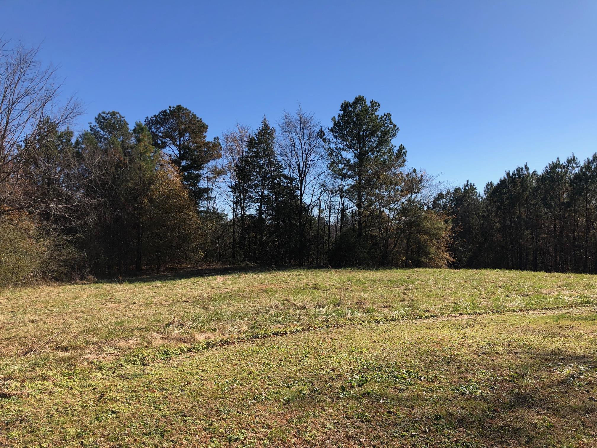 325 Eason Road Henderson, TN 38340 - Photo 18 of 22 Photo 18