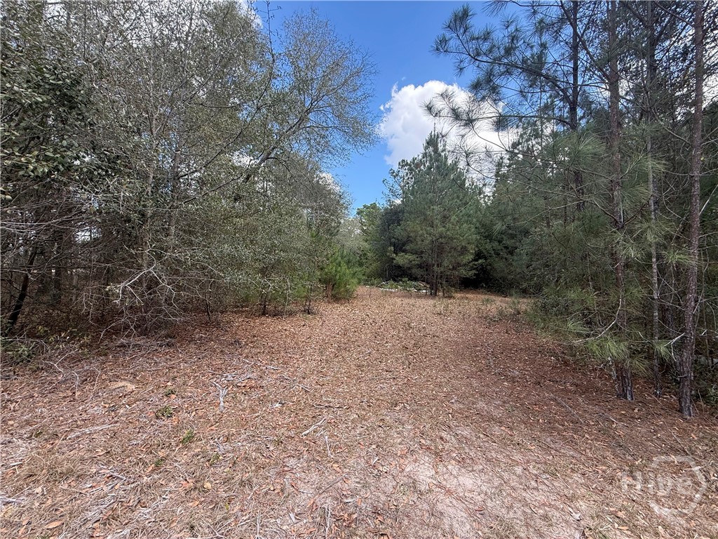 2362 Old Dixie Highway South Springfield, GA 31329 - Photo 4 of 9