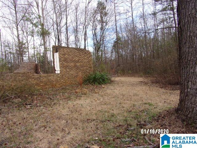 5736 County Road 51 Clanton, AL 35046 - Photo 4 of 7
