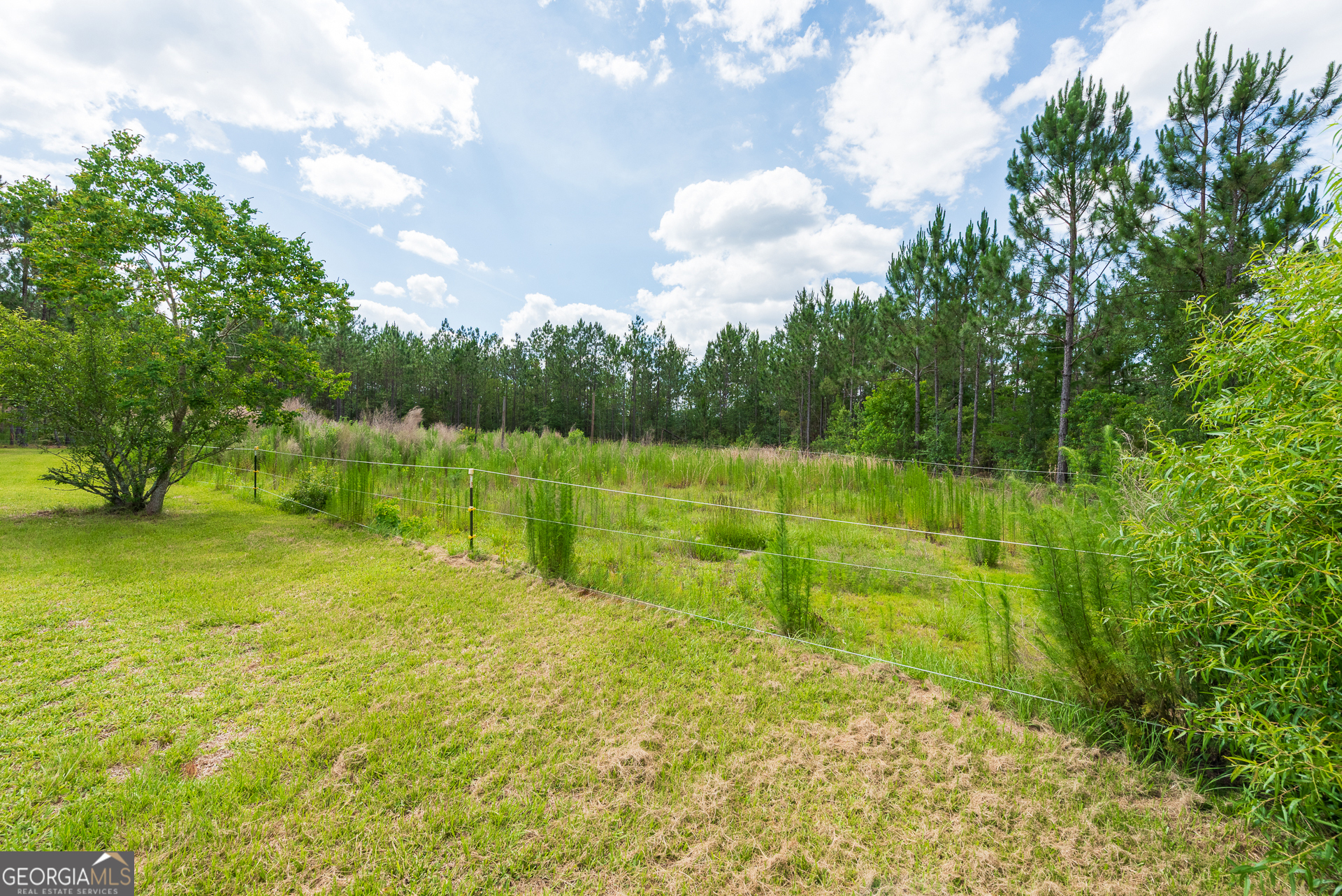 2559 Tabby Road Mershon, GA 31551 - Photo 4 of 42