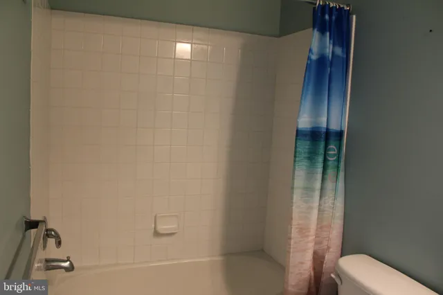 a bathroom with a shower and a toilet