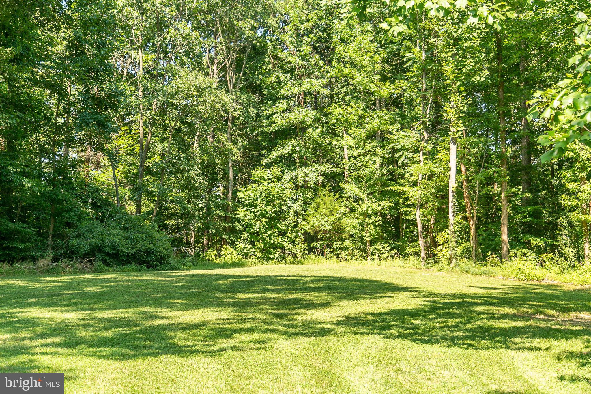 13361 Ladysmith Road Ruther Glen, VA 22514 - Photo 37 of 50 Gallery Image 37
