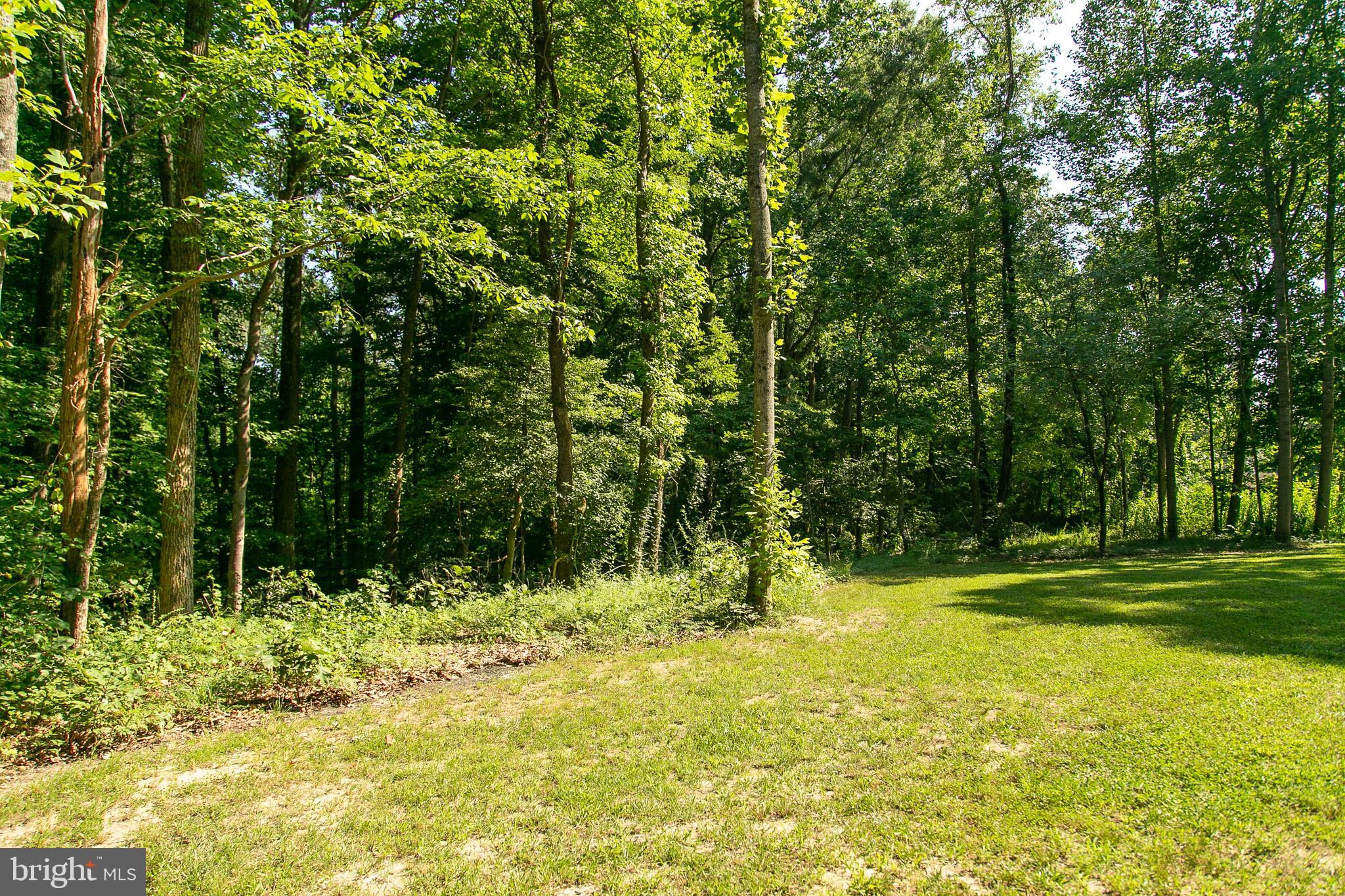 13361 Ladysmith Road Ruther Glen, VA 22514 - Photo 44 of 50 Gallery Image 44