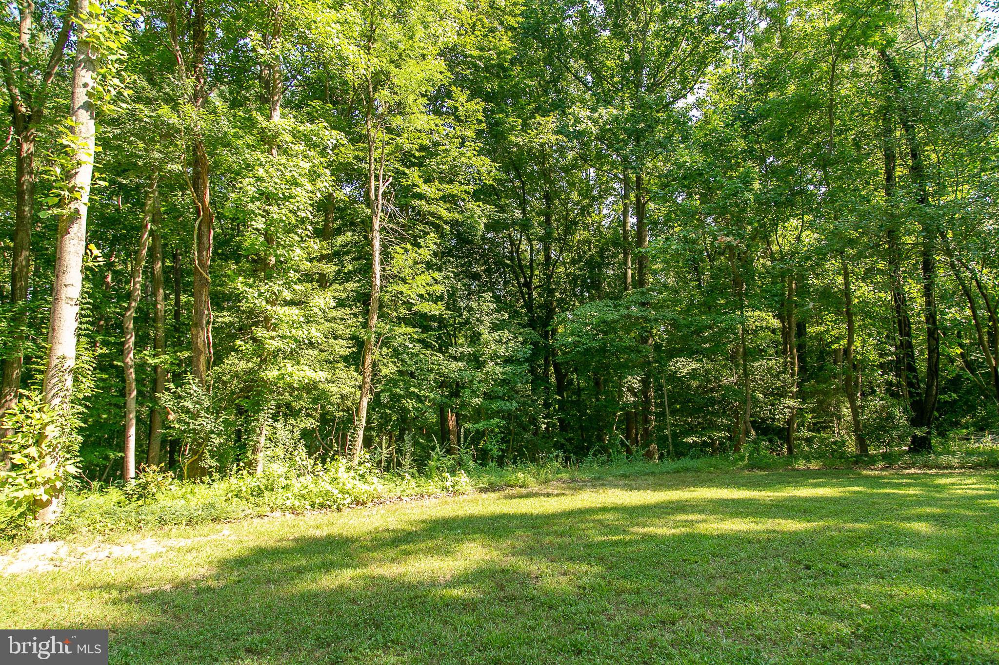 13361 Ladysmith Road Ruther Glen, VA 22514 - Photo 46 of 50 Gallery Image 46