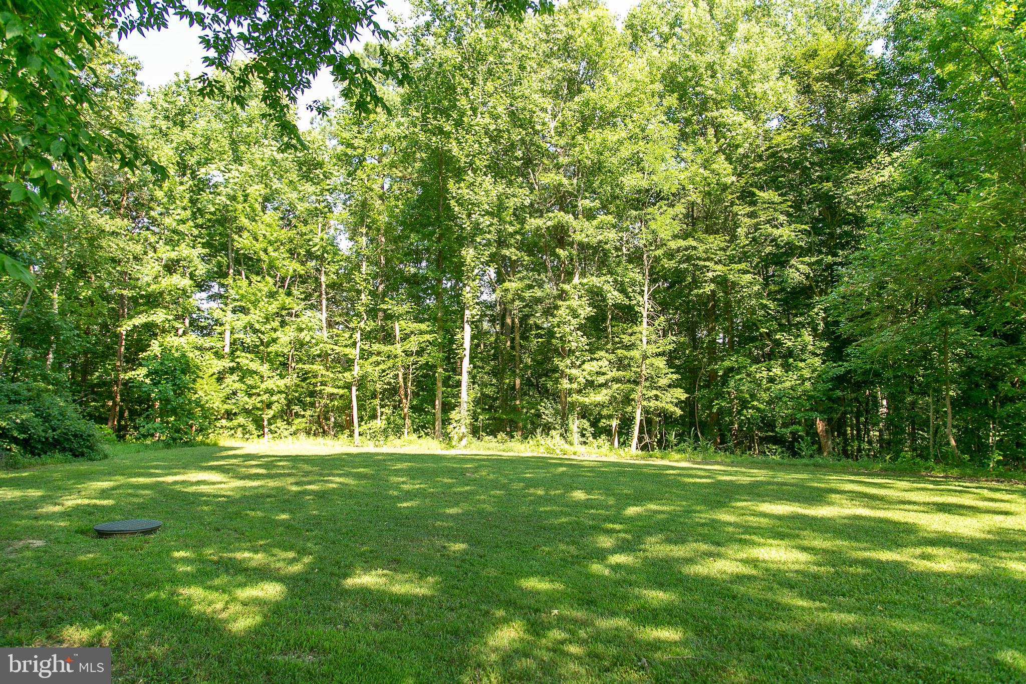 13361 Ladysmith Road Ruther Glen, VA 22514 - Photo 47 of 50 Gallery Image 47